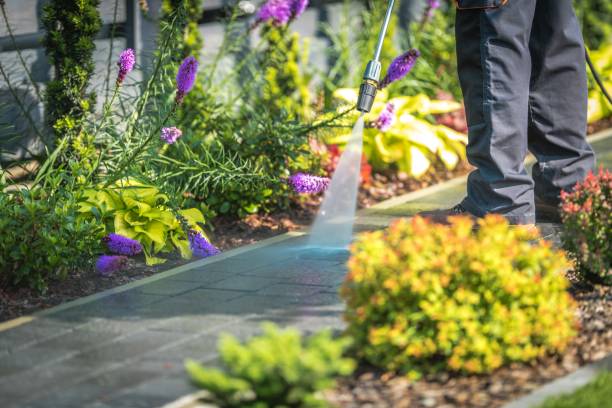 Best Winterizing Services  in Sayre, OK